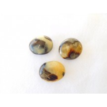 Palm Stone  / Septarian / ass. sizes