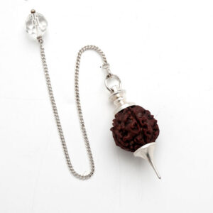 Pendulum / Rudraksha Bead / chain not silver