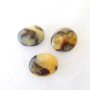 Palm Stone / Septarian / ass. sizes