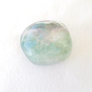 Palm Stone / Fluorite