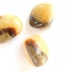 Septarian Tumbled (8 oz bag)
