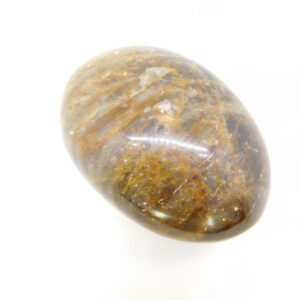 Palm Stone / Black Moonstone