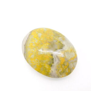 Pillow / Bumble Bee Jasper