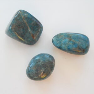 Blue Appetite Palm Stones