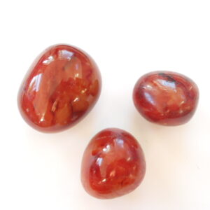 Palm Stone / Carnelian / ass sizes