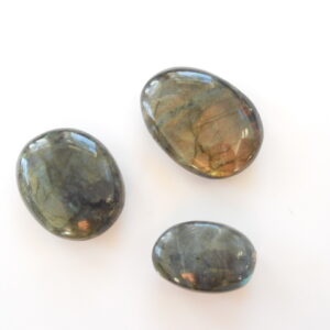 Palm Stone / Labadorite / ass. sizes