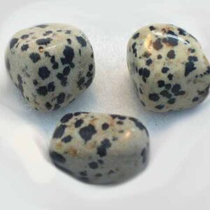 Dalmation Jasper / 8 oz Bag