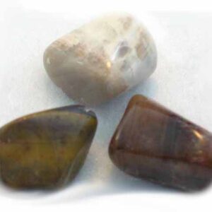 Petrified Wood / 8 oz Bag